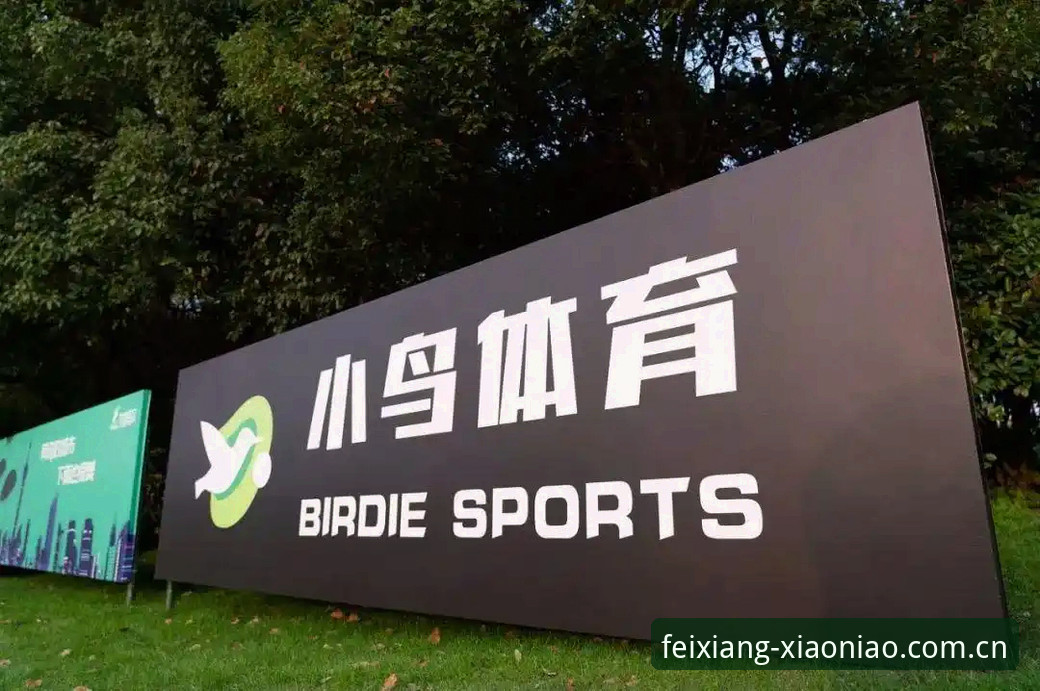 小鸟体育平台深度评测：从下载到实战，老用户的全方位体验报告
