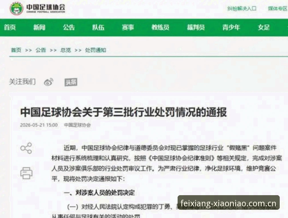 足协第三批禁足名单深度解读：从处罚细节看足球治理实用技巧