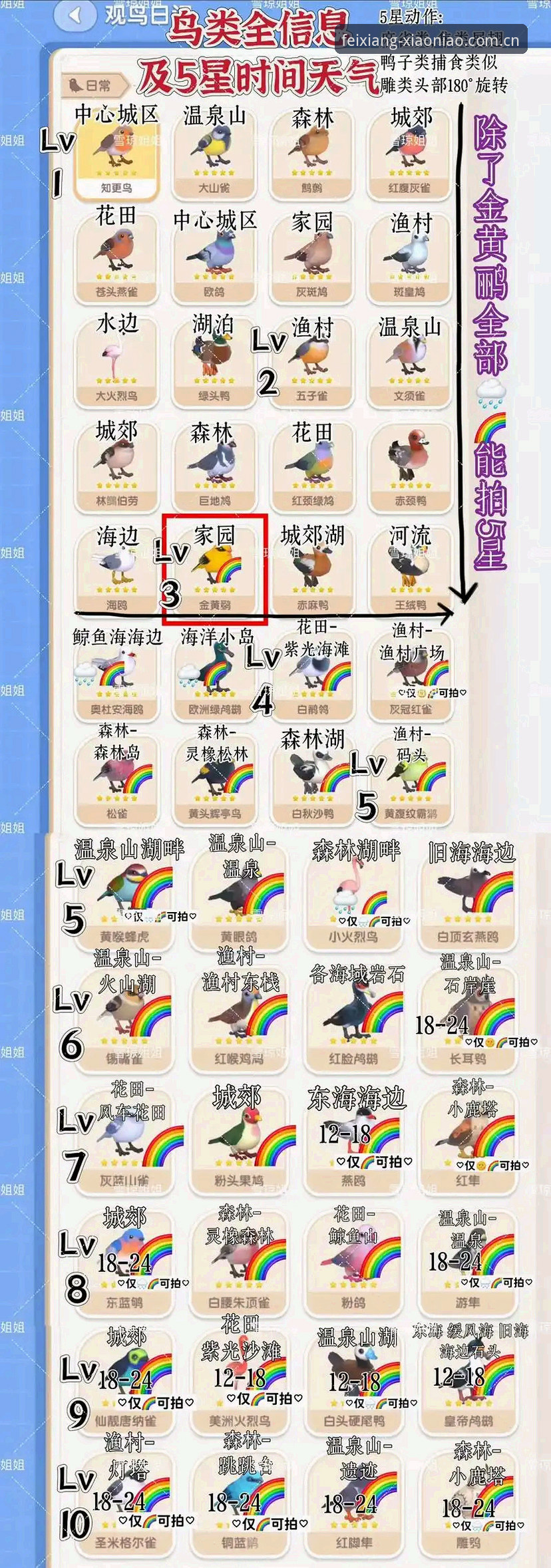 世界杯观赛障碍与小鸟体育平台避坑操作指南