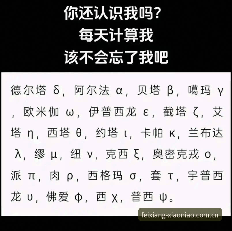 小鸟体育手机版安全吗？2025年全面解析与实测数据解读